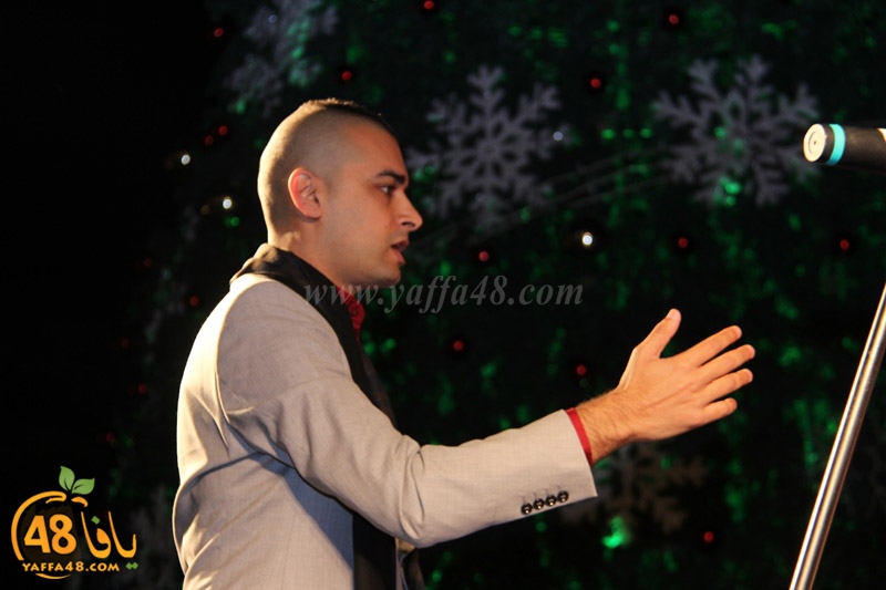 tree xrismass (55).JPG